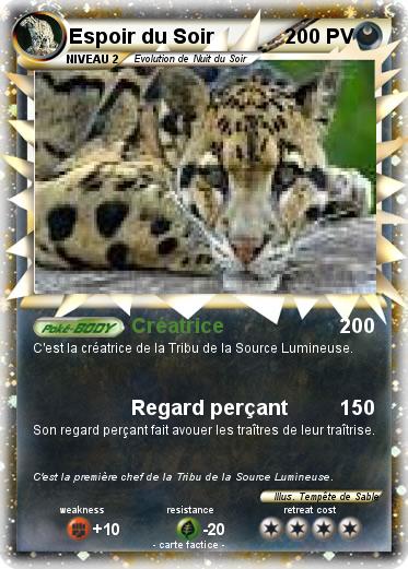 Pokemon Espoir du Soir