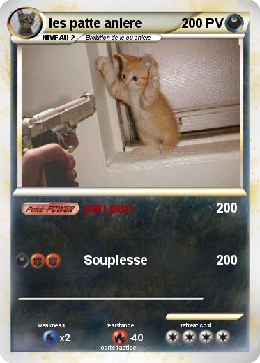 Pokemon les patte anlere