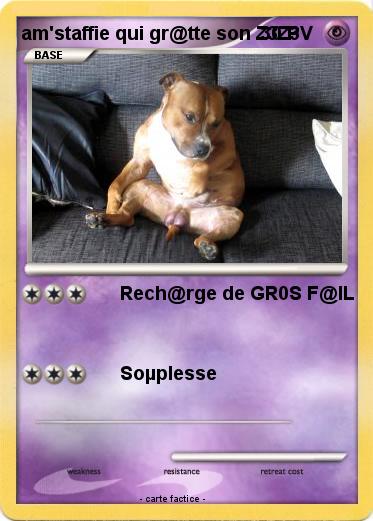 Pokemon am'staffie qui gr@tte son Z3Z3