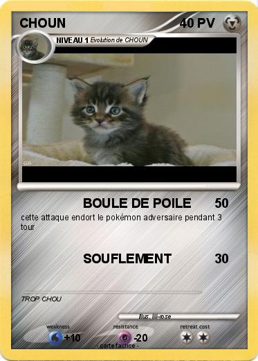 Pokemon CHOUN