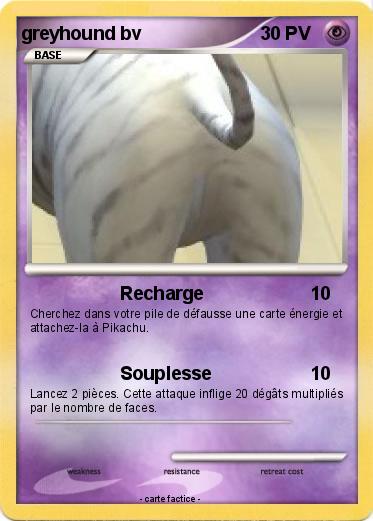 Pokemon greyhound bv