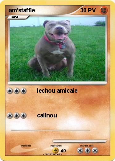 Pokemon am'staffie