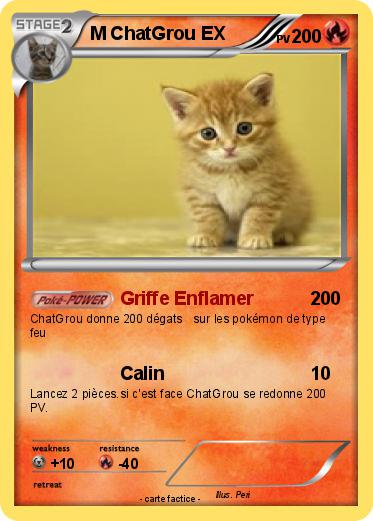 Pokemon M ChatGrou EX
