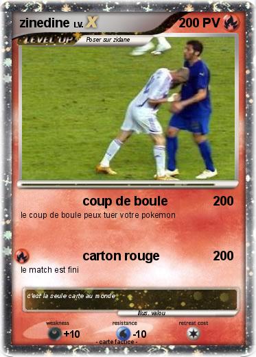 Pokemon zinedine