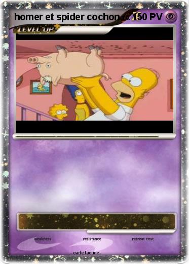 Pokemon homer et spider cochon