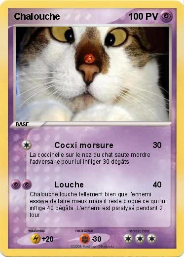 Pokemon Chalouche 