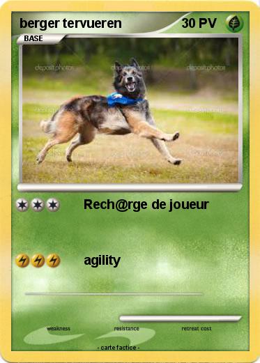 Pokemon berger tervueren