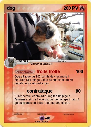Pokemon dog