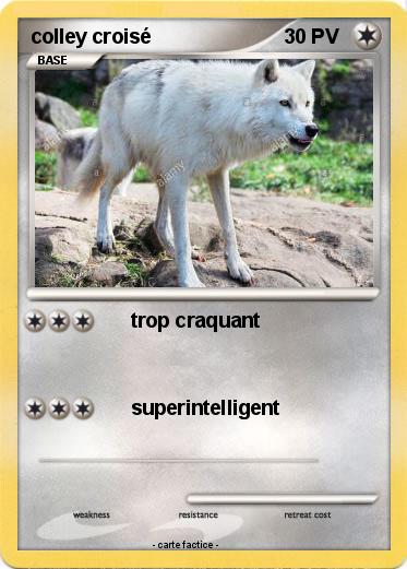 Pokemon colley croisé