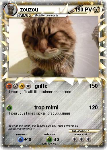 Pokemon zouzou