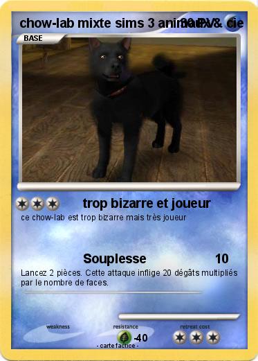 Pokemon chow-lab mixte sims 3 animaux & cie