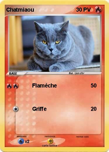 Pokemon Chatmiaou