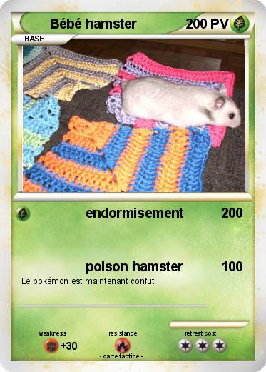 Pokemon Bébé hamster