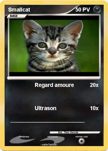 Pokemon Smallcat