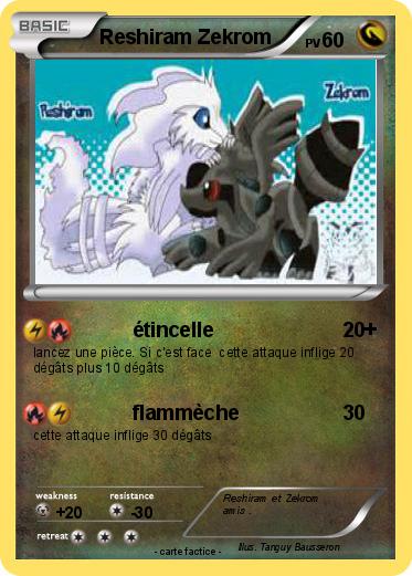 Pokemon Reshiram Zekrom
