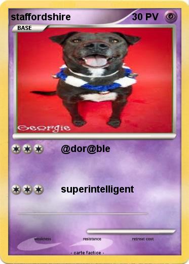 Pokemon staffordshire