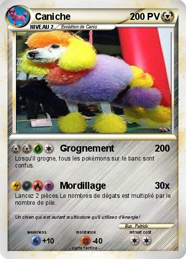 Pokemon Caniche