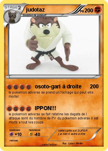 Pokemon judotaz