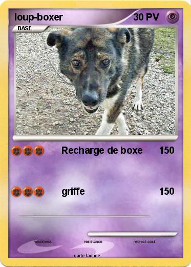 Pokemon loup-boxer