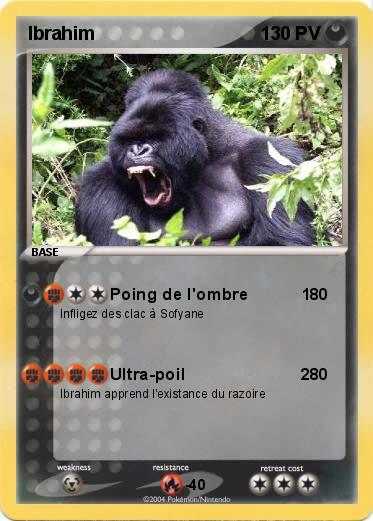 Pokemon Ibrahim