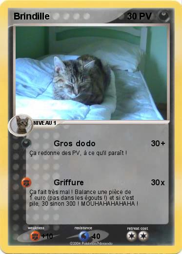 Pokemon Brindille