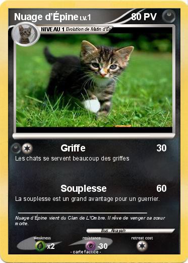 Pokemon Nuage d’Épine