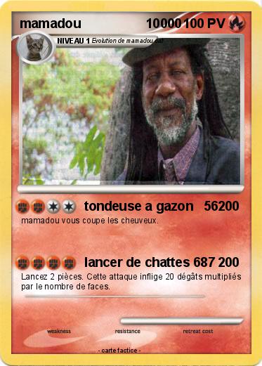 Pokemon mamadou                  10000