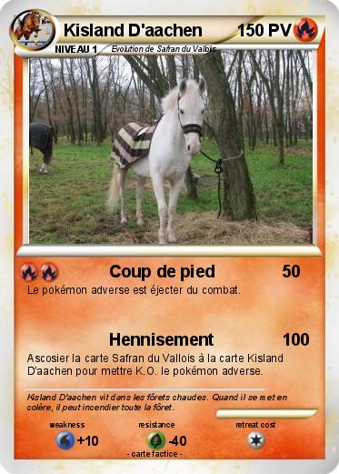 Pokemon Kisland D'aachen