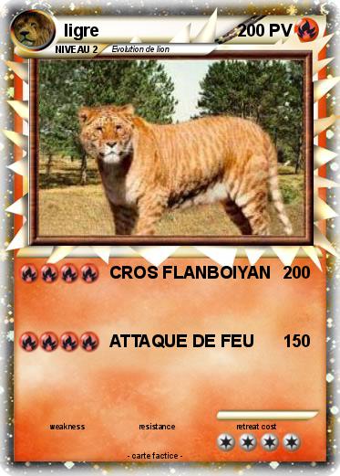 Pokemon ligre