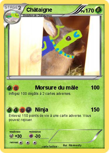 Pokemon Châtaigne