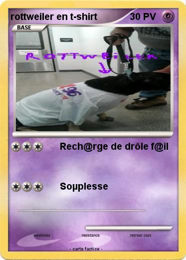 Pokemon rottweiler en t-shirt