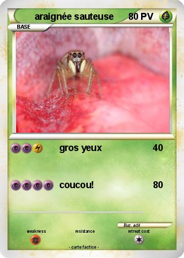 Pokemon araignée sauteuse