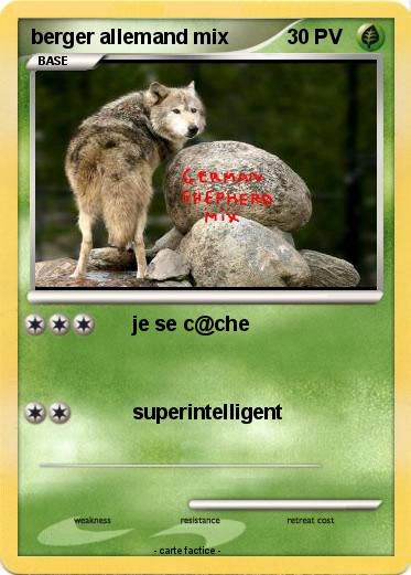 Pokemon berger allemand mix