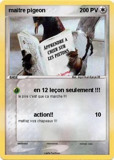 Pokemon maitre pigeon