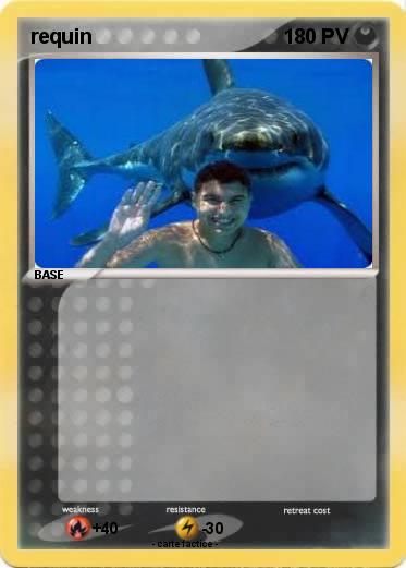 Pokemon requin
