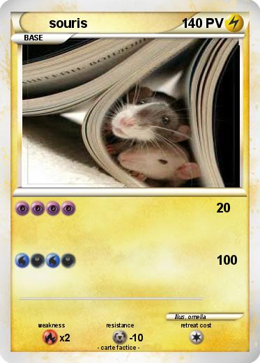 Pokemon souris