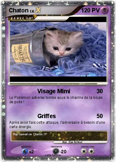 Pokemon Chaton