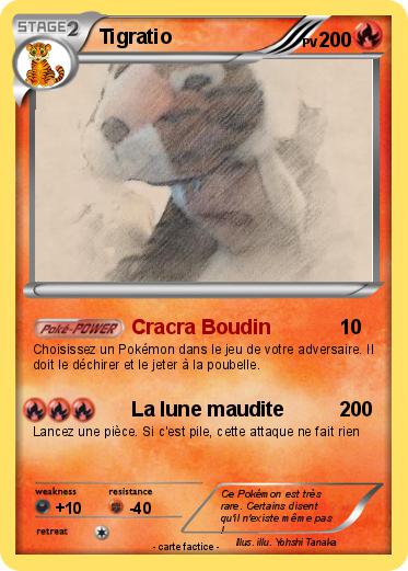 Pokemon Tigratio