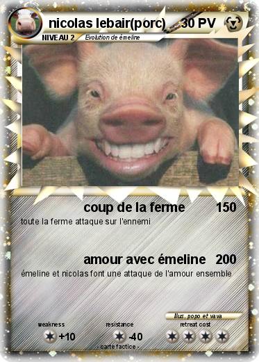 Pokemon nicolas lebair(porc)