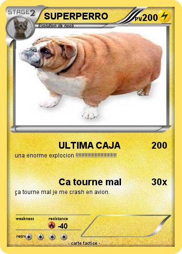 Pokemon SUPERPERRO