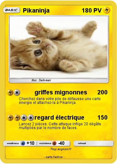 Pokemon Pikaninja