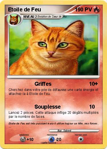 Pokemon Etoile de Feu