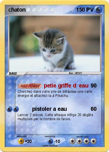 Pokemon chaton