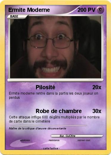 Pokemon Ermite Moderne
