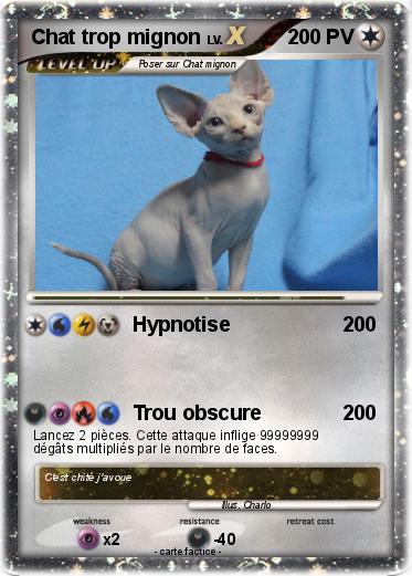 Pokemon Chat trop mignon