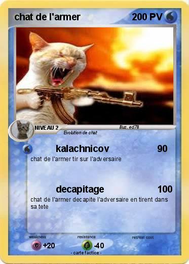 Pokemon chat de l'armer