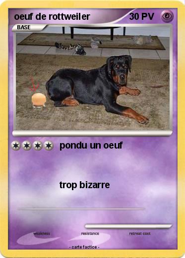 Pokemon oeuf de rottweiler