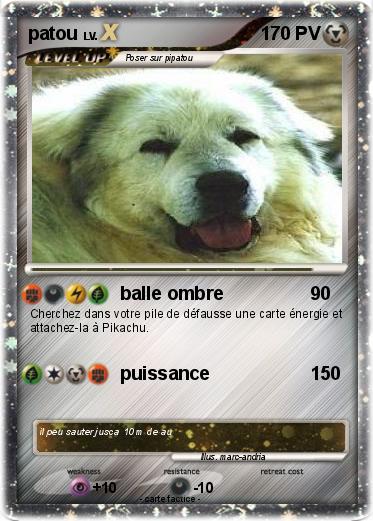 Pokemon patou
