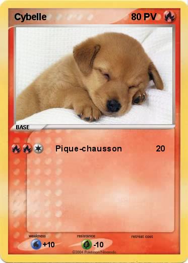 Pokemon Cybelle