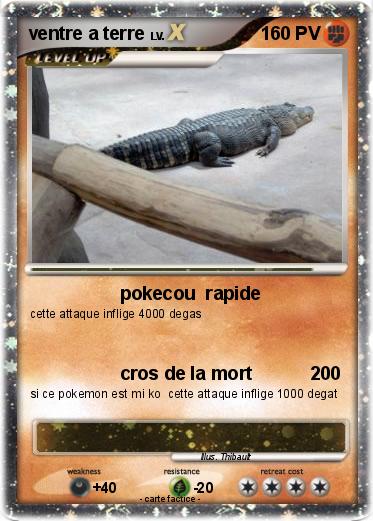 Pokemon ventre a terre